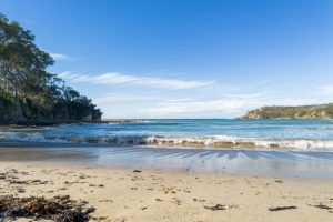Surf Beach, NSW 2536