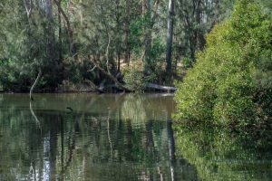 Surf Beach, NSW 2536