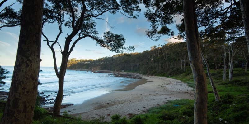 Lilli Pilli, NSW 2536